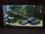 DSCF3078.jpg