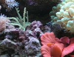 IMG_3831.JPG