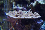 CSC_0776.JPG CSC_0776.JPG