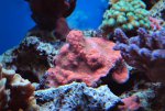 CSC_0774.JPG CSC_0774.JPG