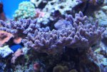 CSC_0773.JPG CSC_0773.JPG