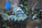 DSC_0761.JPG DSC_0761.JPG