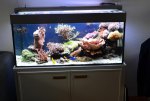 DSC_0551.jpg