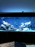 image-156937043.png