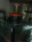 image-4239043030.png