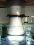 image-1337010512.png