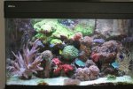 IMG_5323.jpg