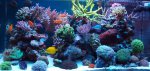 DSC05812.jpg