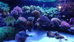 DSC00805.jpg