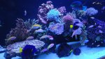 DSC00800.jpg