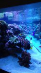 DSC00817.jpg