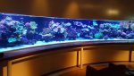 DSC00797.jpg