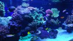 DSC00799.jpg
