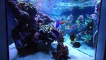 DSC00815.jpg