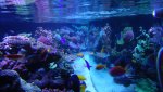 DSC00821.jpg
