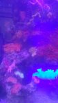 DSC00810.jpg