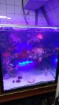 DSC00807.jpg