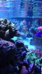 DSC00819.jpg