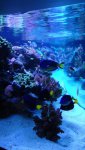 DSC00818.jpg