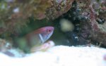 IMG_6338.jpg