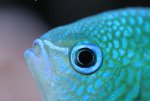 IMG_6656.jpg
