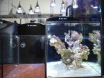 DSC00026.jpg