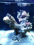 DSC00027.jpg