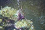 IMG_9234.JPG