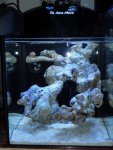 DSC00042.jpg