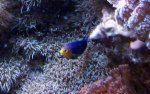 DSC05868.jpg