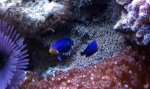DSC05873.jpg