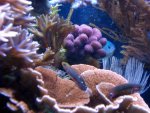 DSC05874.jpg