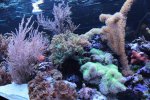 IMG_8216 rif.jpg