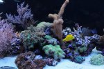 IMG_8195 rif.jpg
