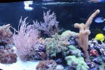 IMG_8194 rif.jpg
