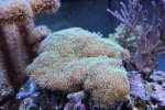 IMG_8172 ster.jpg