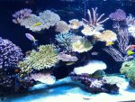 DSC00143.jpg
