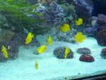 DSC00127.jpg
