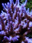 PC150691.jpg