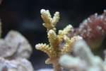 IMG_8327.jpg