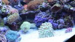 IMG_8333.jpg