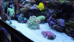 IMG_8330.jpg