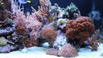 IMG_8334.jpg