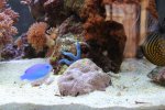 IMG_8082.jpg