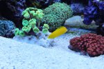 IMG_8807.jpg