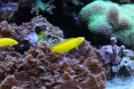 IMG_8823.jpg