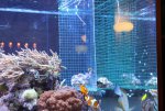 IMG_8845sm.jpg