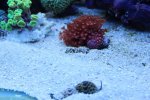 IMG_8859.jpg