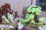 IMG_9008.jpg