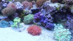 IMG_8952.jpg